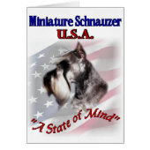 Miniature Schnauzer USA (Front)