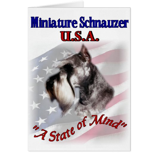 Miniature Schnauzer USA Cards (Front)