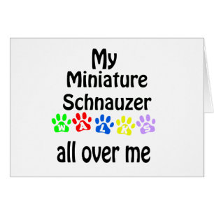 Miniature Schnauzer Walks Design Cards