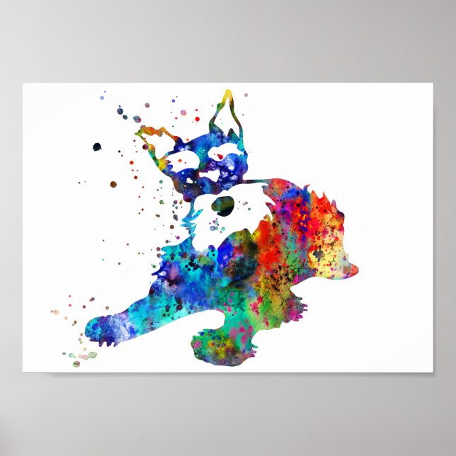 Miniature schnauzer, watercolor Miniature schnauze Poster (Front)