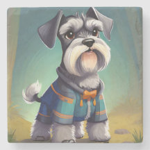Miniature Schnauzer Wearing a Coat