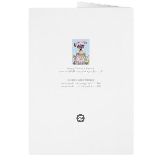 Miniature Schnauzer Wearing Pink Polka Dot Bow (Back)