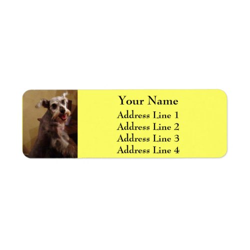 Miniature Schnauzer Yellow Return Address Labels