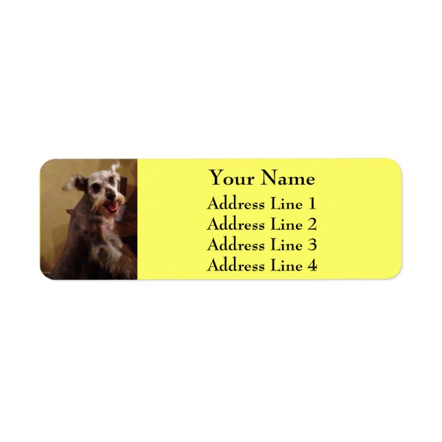 Miniature Schnauzer Yellow Return Address Labels (Front)