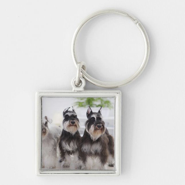 Miniature Schnauzers standing at edge of table Keychain (Front)