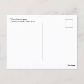 Miniature Trolly Postcard