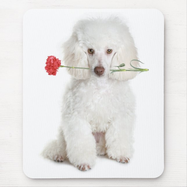 Miniature White Poodle Puppy Dog Flower Mousepad (Front)