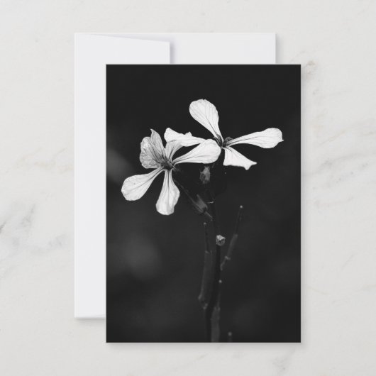minimal black and white floral (Front)