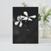 minimal black and white floral (Standing Front)