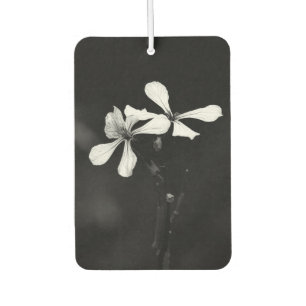 minimal black and white floral air freshener
