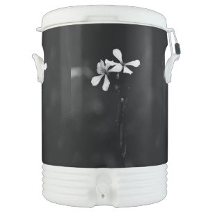 minimal black and white floral beverage cooler