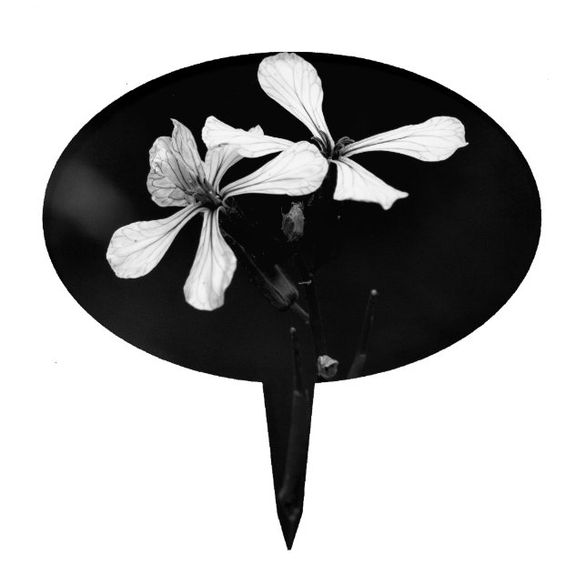 minimal black and white floral cake topper (Front)
