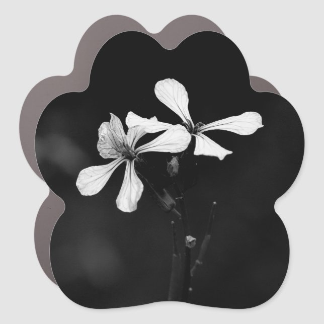 minimal black and white floral car magnet (Front)