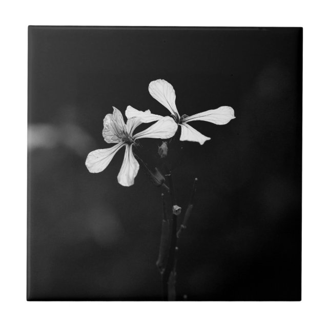 minimal black and white floral ceramic tile (Front)