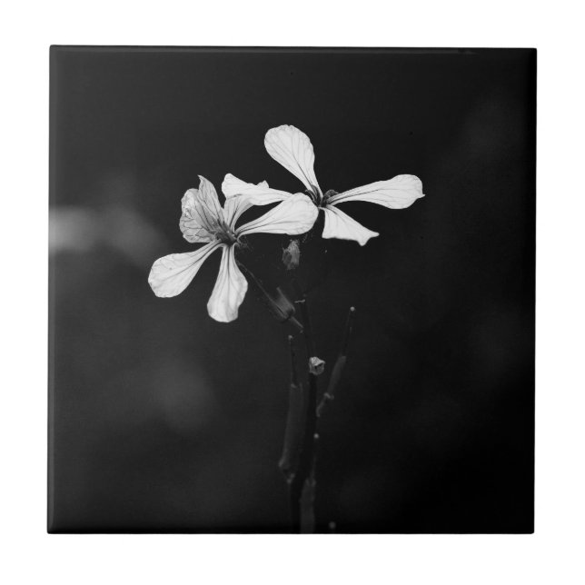 minimal black and white floral ceramic tile (Front)
