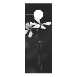 minimal black and white floral door hanger