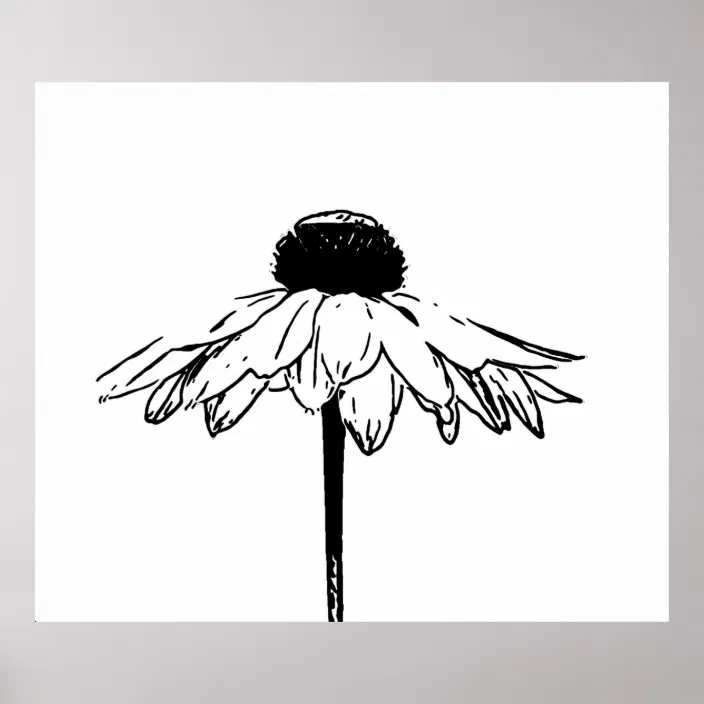 33+ Incredible Aesthetic Black And White Flowers Images