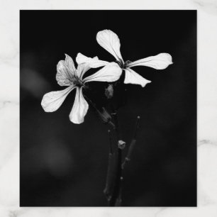 minimal black and white floral envelope liner