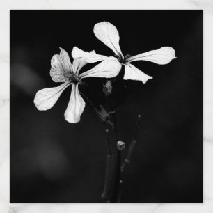 minimal black and white floral envelope liner