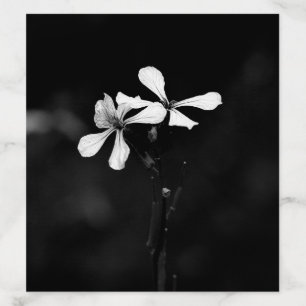 minimal black and white floral envelope liner