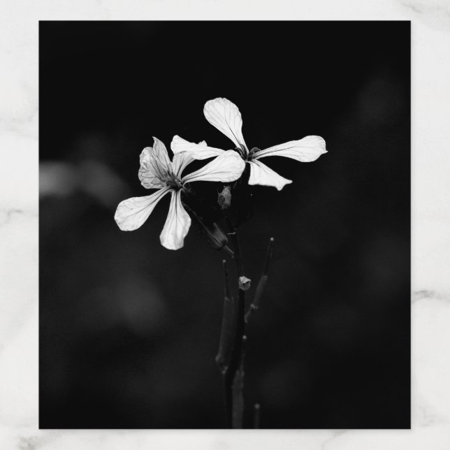 minimal black and white floral envelope liner (Design)