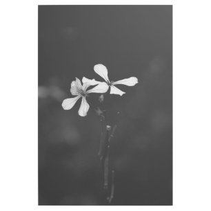 minimal black and white floral gallery wrap