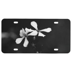 minimal black and white floral license plate