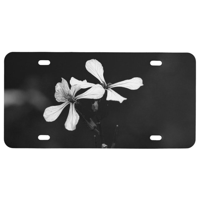 minimal black and white floral license plate (Front)