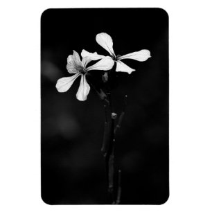 minimal black and white floral magnet