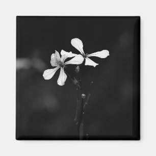 minimal black and white floral magnet