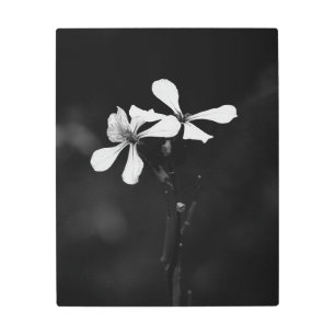 minimal black and white floral metal print