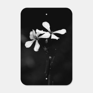 minimal black and white floral metal sign