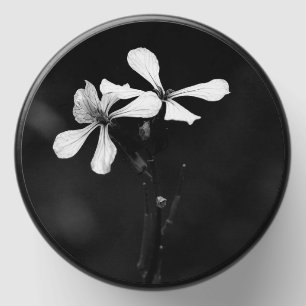 minimal black and white floral mini candle favors