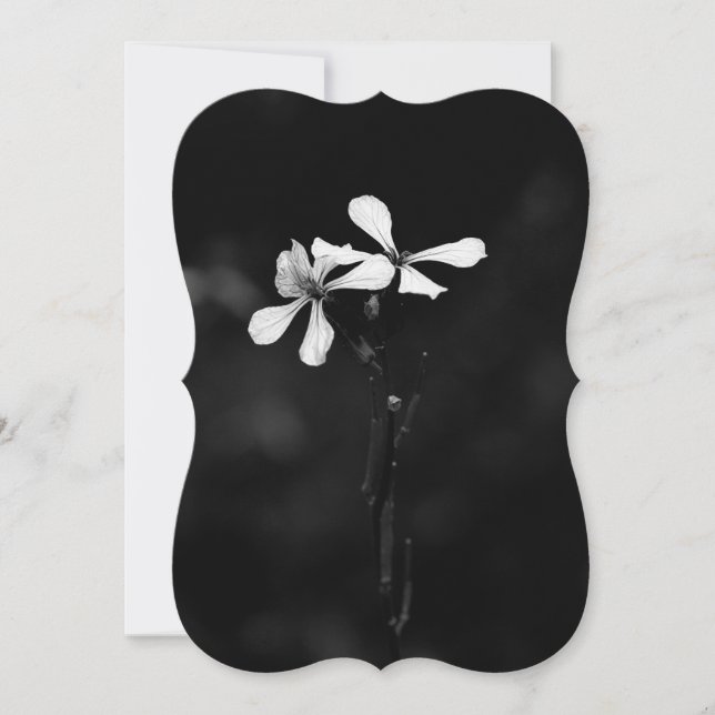 minimal black and white floral note card (Front)
