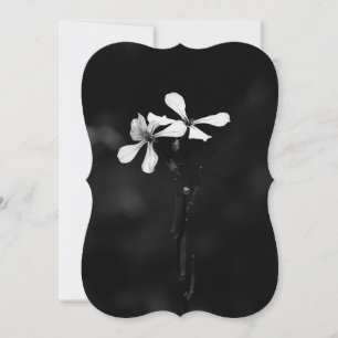 minimal black and white floral note card