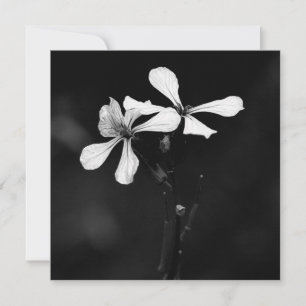 minimal black and white floral note card