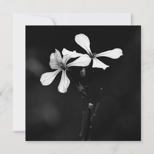 minimal black and white floral note card (Front)