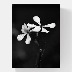 minimal black and white floral paperweight