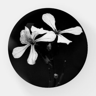 minimal black and white floral paperweight