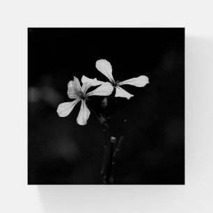 minimal black and white floral paperweight