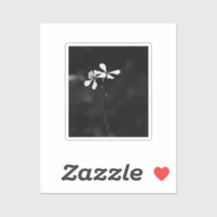 minimal black and white floral sticker