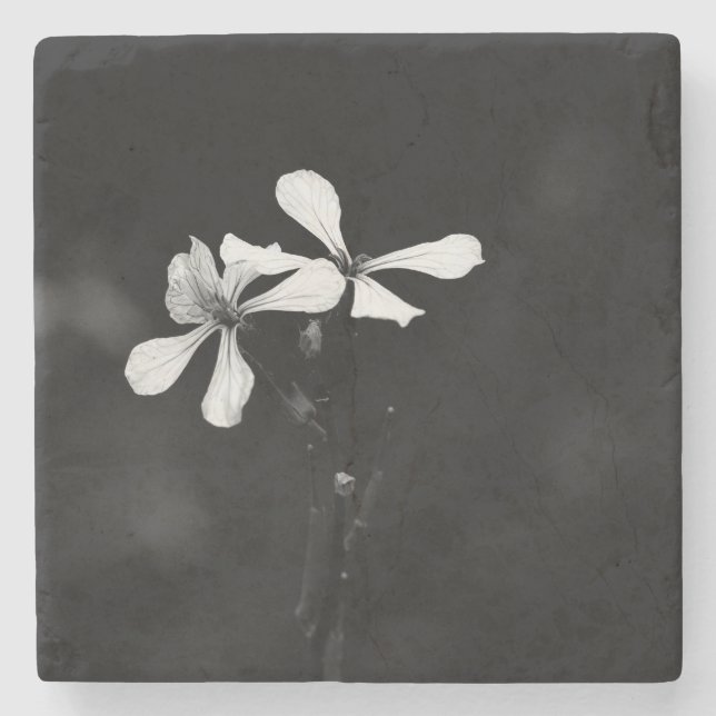 minimal black and white floral stone coaster (Front)
