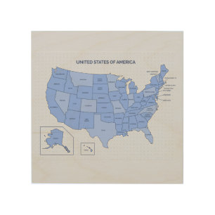 Minimal Blue United States Map Illustration Wood Wall Art