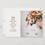 Minimal Bow Cute Saying Pet Christmas Photo Holiday Card