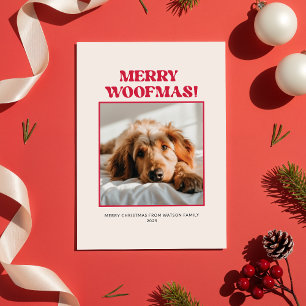Minimal Cute Funny Dog Pet Photo Christmas Holiday Card