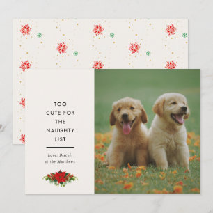 Minimal Cute Saying Pet Christmas Photo  Holiday Card