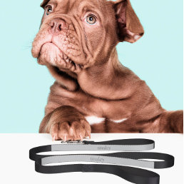 Minimal Dog + Cat Leash | Cools | Soft Gray