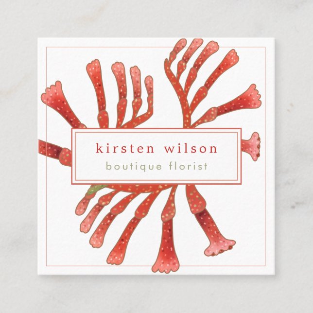 Minimal, Elegant Kangaroo Paw Flowers  Square Busi Square Business Card (Front)
