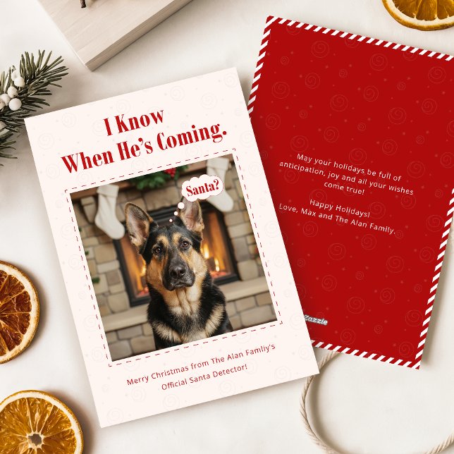 Minimal Funny Adorable Dog Pet Photo Christmas Holiday Card (Creator Uploaded)