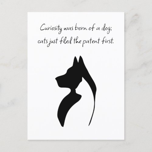 Minimal  Funny Dog and Cat Postcard